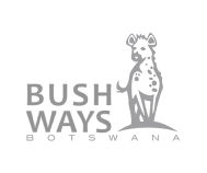 Bush Ways